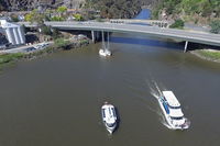 2.50 hour Afternoon Discovery Cruise including Cataract Gorge departing at 3 pm - QLD Tourism