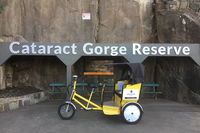 Launceston Cataract Gorge - Twilight wildlife local history walking tour. - St Kilda Accommodation