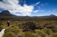 6-Day Overland Track PhotoTour - Mackay Tourism