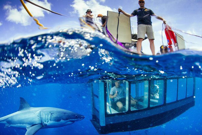 Wirrulla SA Tourism Cairns