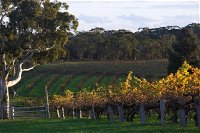Barossa Valley with Hahndorf Tour from Adelaide