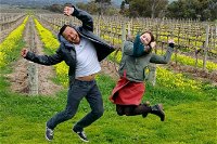 Mclaren Vale Luxury Full Day Small Group Wine Tour - Accommodation ACT
