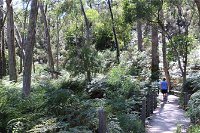 Self-Guided Waterfall Gully to Mount Lofty Hike from Adelaide