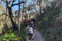 Mount Lofty Hike and Cleland Wildlife Park Day Trip from Adelaide - Accommodation Mt Buller