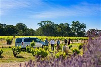 Micro-Group Barossa Valley Wine Tour from Adelaide - ACT Tourism