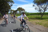 McLaren Vale Wine Tour by Bike - Accommodation Airlie Beach