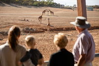 Monarto Safari Park General Admission Ticket - Accommodation Mount Tamborine