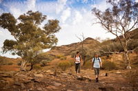 Flinders Ranges 3 Day 4WD Small Group Eco Tour from Adelaide - Maitland Accommodation