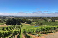 Small-Group Full-Day Adelaide Hills and Hahndorf Wine Tour from Adelaide
