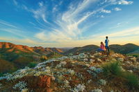 7-Night Murraylands and Wildlife Cruise - Sydney Tourism