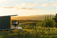 The Lane Vineyard Panorama Private Wine Tasting Experience - Accommodation Airlie Beach