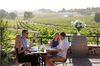 McLaren Vale Intimate Winery Tour by private Limo - Accommodation Find