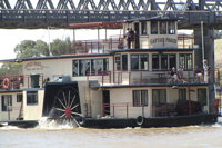 Murray River Lunch Cruise by Paddle Wheeler from Murray Bridge - Accommodation Find