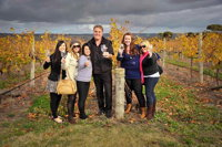 McLaren Vale Winery Small Group Tour with Wine Tasting and Lunch - Accommodation Airlie Beach