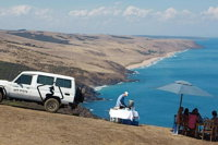 McLaren Vale and Fleurieu Peninsula Day Trip by 4WD Including Gourmet Picnic Lunch - Accommodation Airlie Beach
