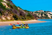 Half-Day Kayaking Tour in Coorong National Park - Accommodation Airlie Beach