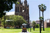 Adelaide 90-Minute Pedicab Tour City Sights Experience