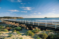 Victor Harbor and Southern Highlights from Adelaide Including Lunch - Accommodation Airlie Beach