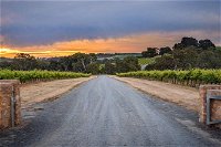 The Ultimate Shottesbrooke Wine  Food Experience - Mount Gambier Accommodation