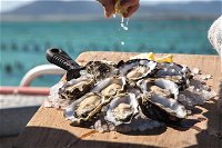 Experience Coffin Bay Short and Sweet Oyster Farm Tour - QLD Tourism