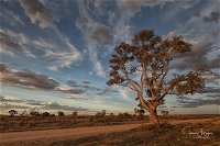 Flinders Ranges Photography Tour - Accommodation Australia