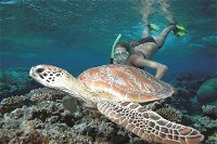 Great Barrier Reef Sailing and Snorkeling Cruise from Port Douglas