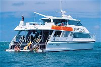 Poseidon Outer Great Barrier Reef Snorkeling and Diving Cruise from Port Douglas - Accommodation ACT