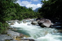 Daintree Rainforest Cape Tribulation Mossman Gorge in a day - Gold Coast Attractions