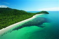 Cape Tribulation Mossman Gorge and Daintree Rainforest Day Trip from Cairns or Port Douglas - Whitsundays Tourism