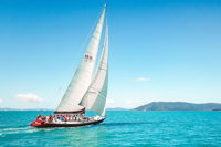 Condor Whitsundays Maxi Sailing 2 Days 2 Nights - single bed - Geraldton Accommodation
