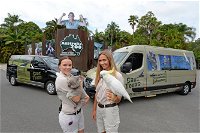 Small-Group Australia Zoo Day Trip from Brisbane - Accommodation Brunswick Heads