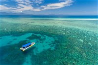 Ocean Safari Great Barrier Reef Experience in Cape Tribulation - Accommodation Cooktown