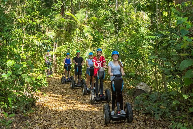 Airlie Beach QLD Accommodation Daintree