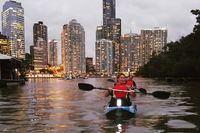 Brisbane River Guided Evening Tour by Kayak - Our Most Popular Tour - Accommodation Gold Coast