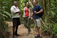 Mossman Gorge Dreamtime Walk and Low Isles Snorkeling and Sailing Cruise - Maitland Accommodation
