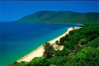 Cairns Reef and Rainforest Combo Daintree Rainforest and the Great Barrier Reef - Accommodation ACT