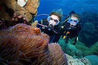Quicksilver Dive 4 Day PADI Learn to Dive Course - Tweed Heads Accommodation