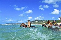 Horse Swimming Ride from Rainbow Beach - Accommodation Redcliffe
