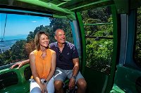 Skyrail Rainforest Cableway Day Trip from Palm Cove - Accommodation Resorts