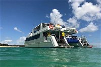 Eco Marine Safari - Boom netting  Snorkeling Moreton Island - Fortitude Valley - Tourism Bookings WA