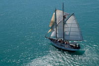 Whitsunday Islands Private Sailing Experience with Snorkeling  Langford Reef - Accommodation BNB