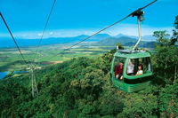 Kuranda Full-Day Small-Group Tour from Port Douglas - Kingaroy Accommodation