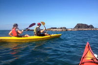 Port Douglas Half-Day Kayak Tour - QLD Tourism