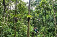 Cape Tribulation and Jungle Surfing Adventure Day from Port Douglas - Gold Coast Attractions