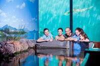 Reef HQ Great Barrier Reef Aquarium General Entry Ticket - Tourism Bookings WA