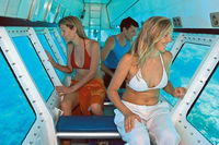 Quicksilver Outer Great Barrier Reef Snorkel Cruise from Palm Cove - eAccommodation