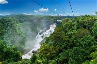 Skyrail Rainforest Cableway Day Trip from Port Douglas - QLD Tourism