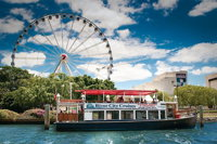 Brisbane Highlights and Lone Pine Cruise from Gold Coast - Accommodation Gold Coast