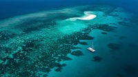 Outer Barrier Reef Sailing and Snorkeling Adventure from Port Douglas - QLD Tourism