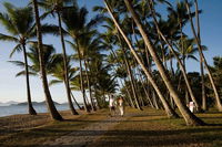 Port Douglas Round-Trip Transfer from Cairns with Free Time in Port Douglas - Gold Coast Attractions